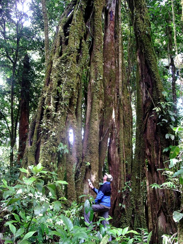 ClintGoss_FieldRecording1