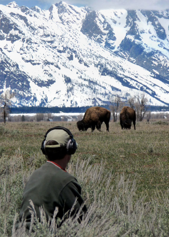 ClintGoss_FieldRecordingBison